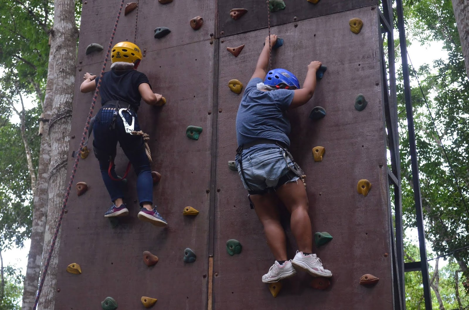 CHAP Bohol Adventure Curious Onion Wall Climbing