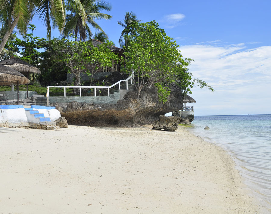 Anda Flower Beach Scuba Dive Resort Beach Shore Anda Bohol Philippines