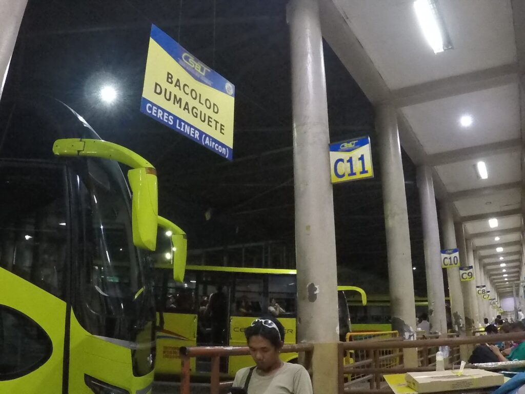 Is Passport Renewal in Dumaguete A Good Experience?