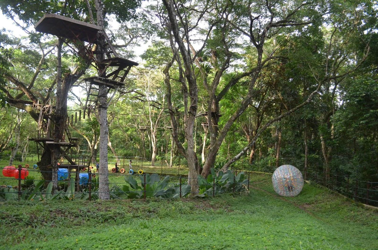 CHAP Bohol Adventure Curious Onion Zorb Ball